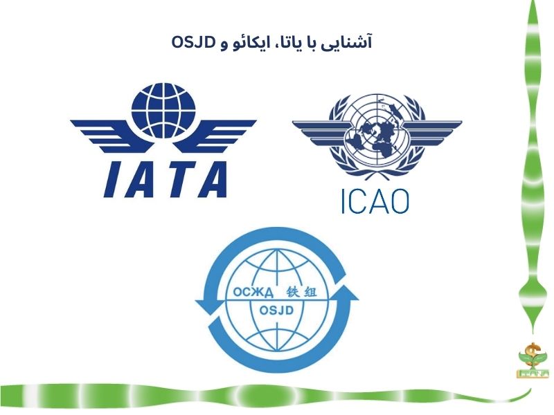 آشنایی با یاتا، ایکائو و OSJD