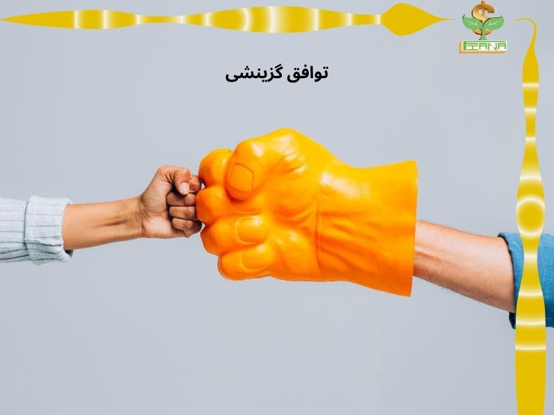 توافق گزینشی